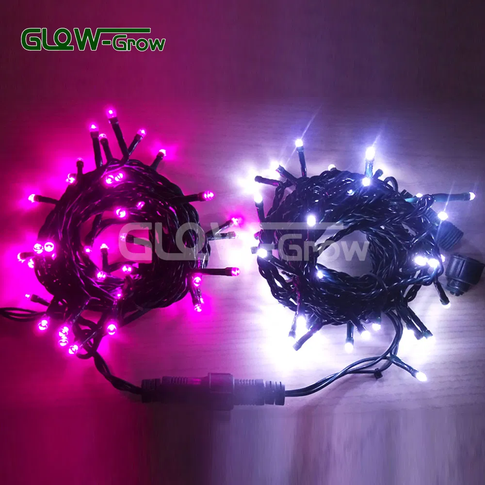 Factory Twinkle Night Fairy Light Detailed Photo