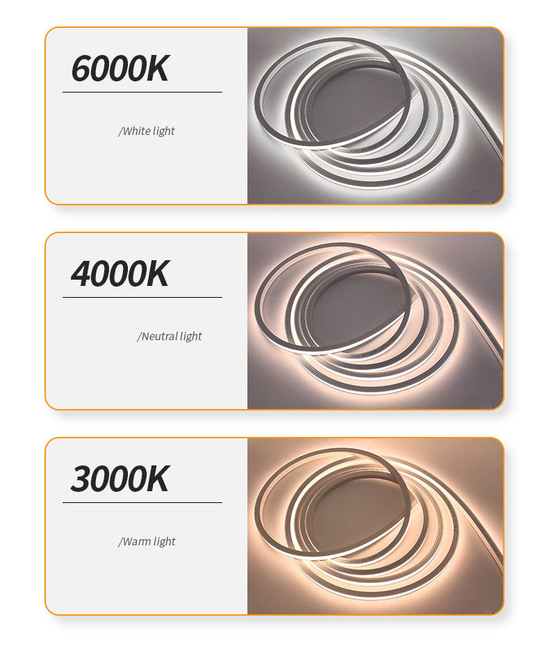 Neon LED Strip Display 8