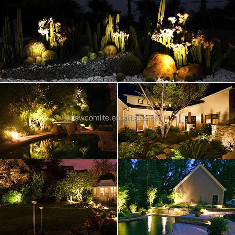 Wholesale High Quality DC24V LED Flood Lamp IP65 15/30 Degree Beam Angle Landscape Floodlight with 3-Year Warranty