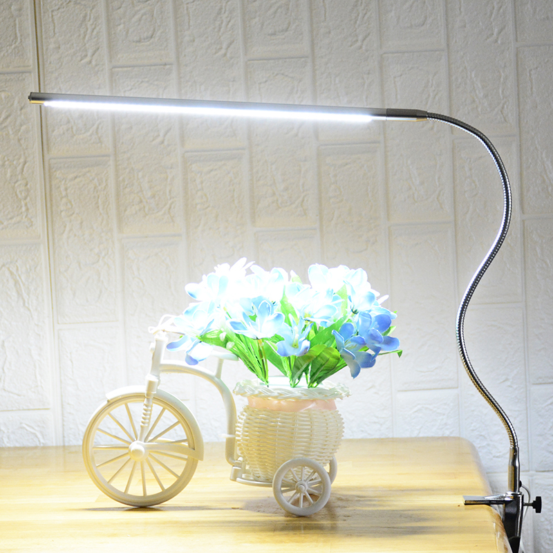 FX019 Desk Lamp