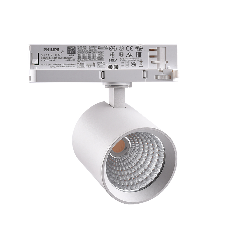 Track Light Application 1