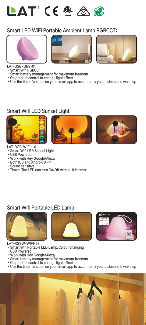 Product Details 2