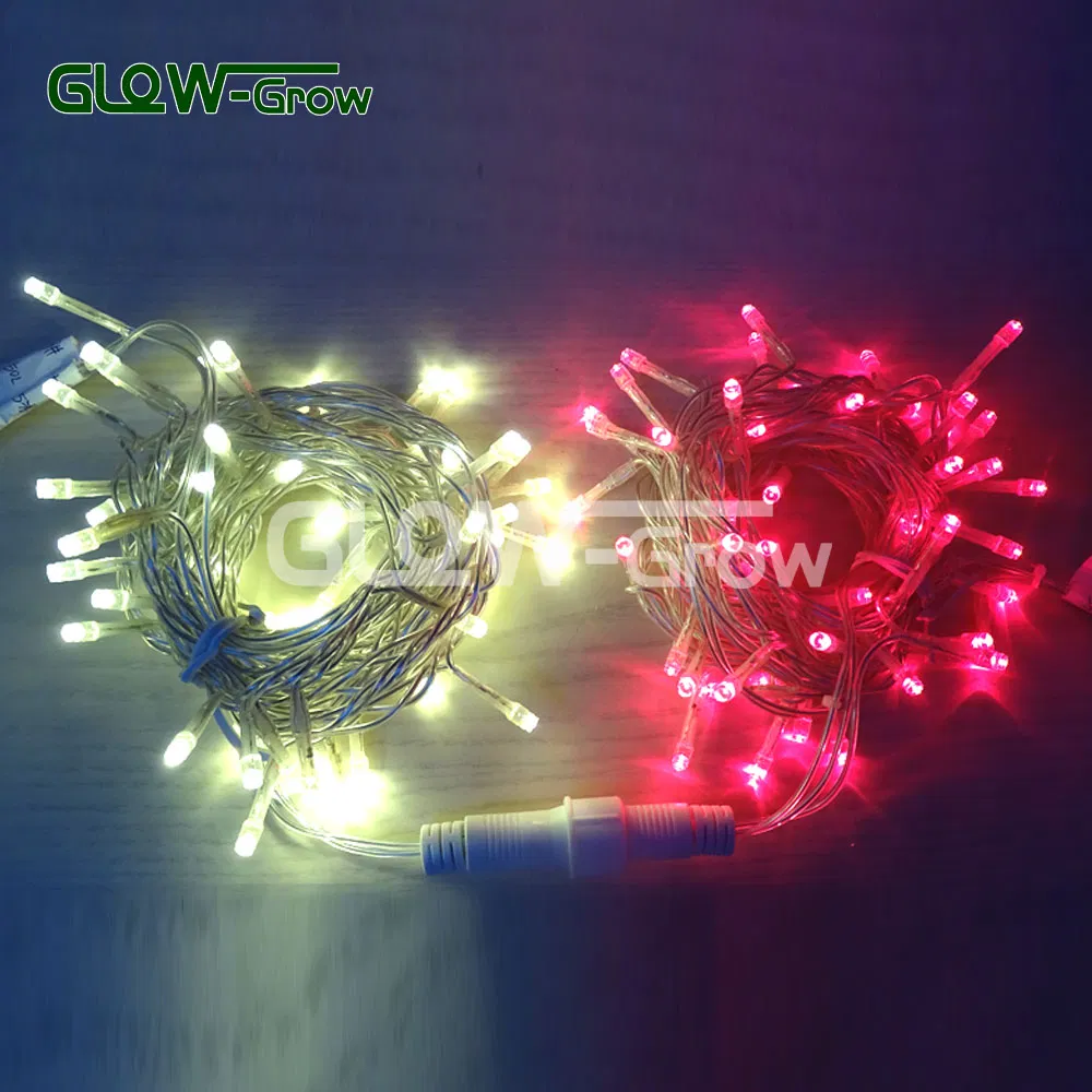 Factory Twinkle Night Fairy Light Detailed Photo