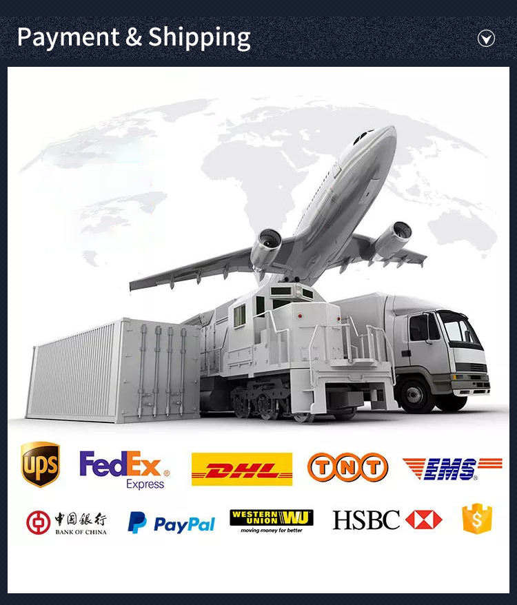 Payment Methods and Shipping Logisitic Information