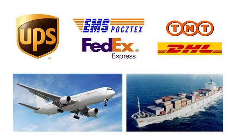 Logistics and Transport
