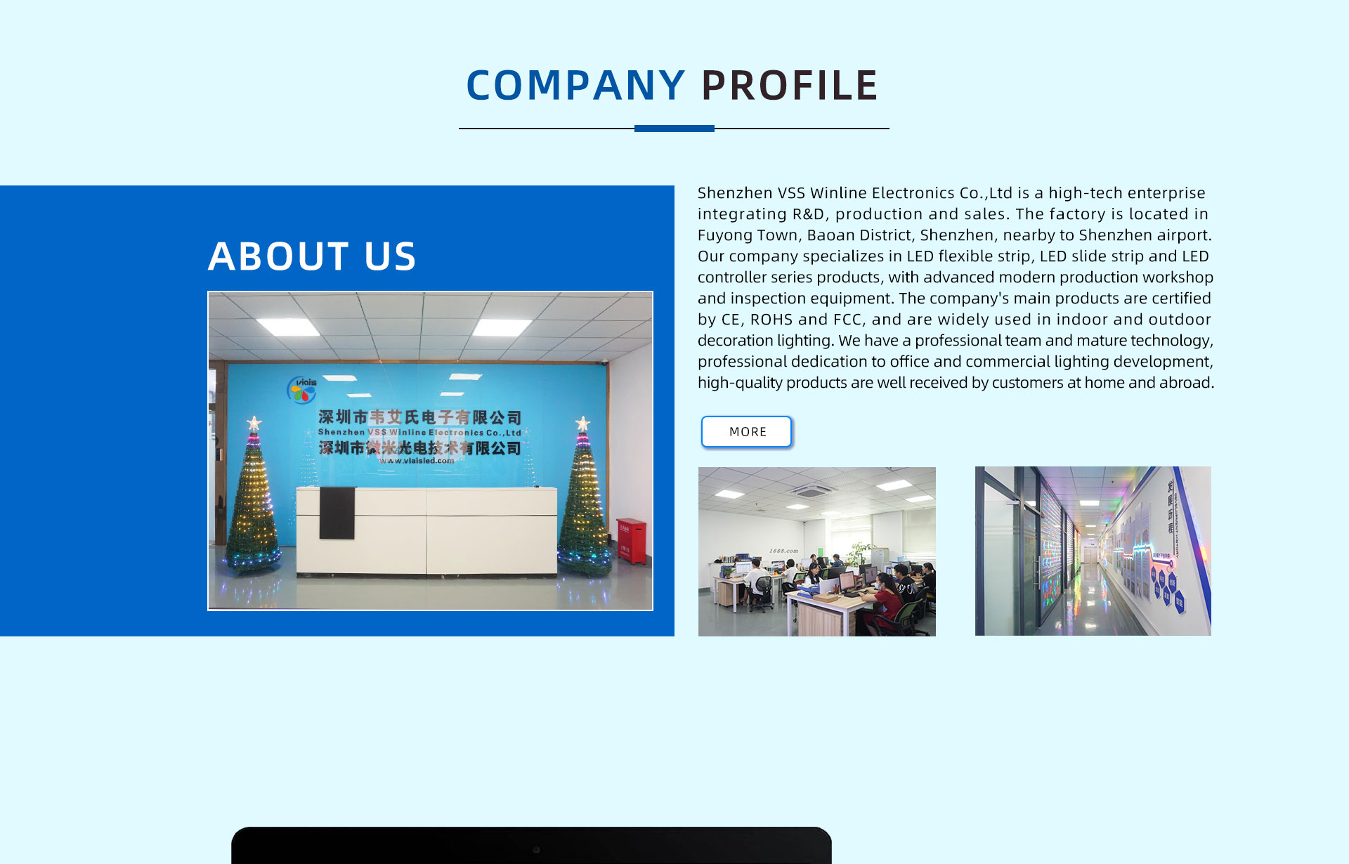 Company Overview 1