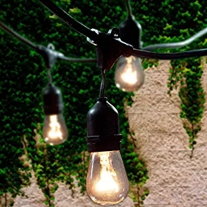 Hot Sale Decorative Outdoor Waterproof 48 ft S14 Edison String Lights