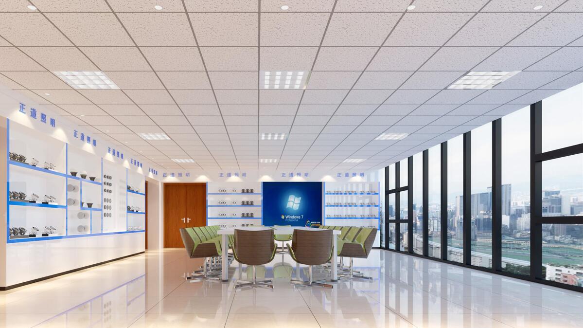 Company Showcase 3