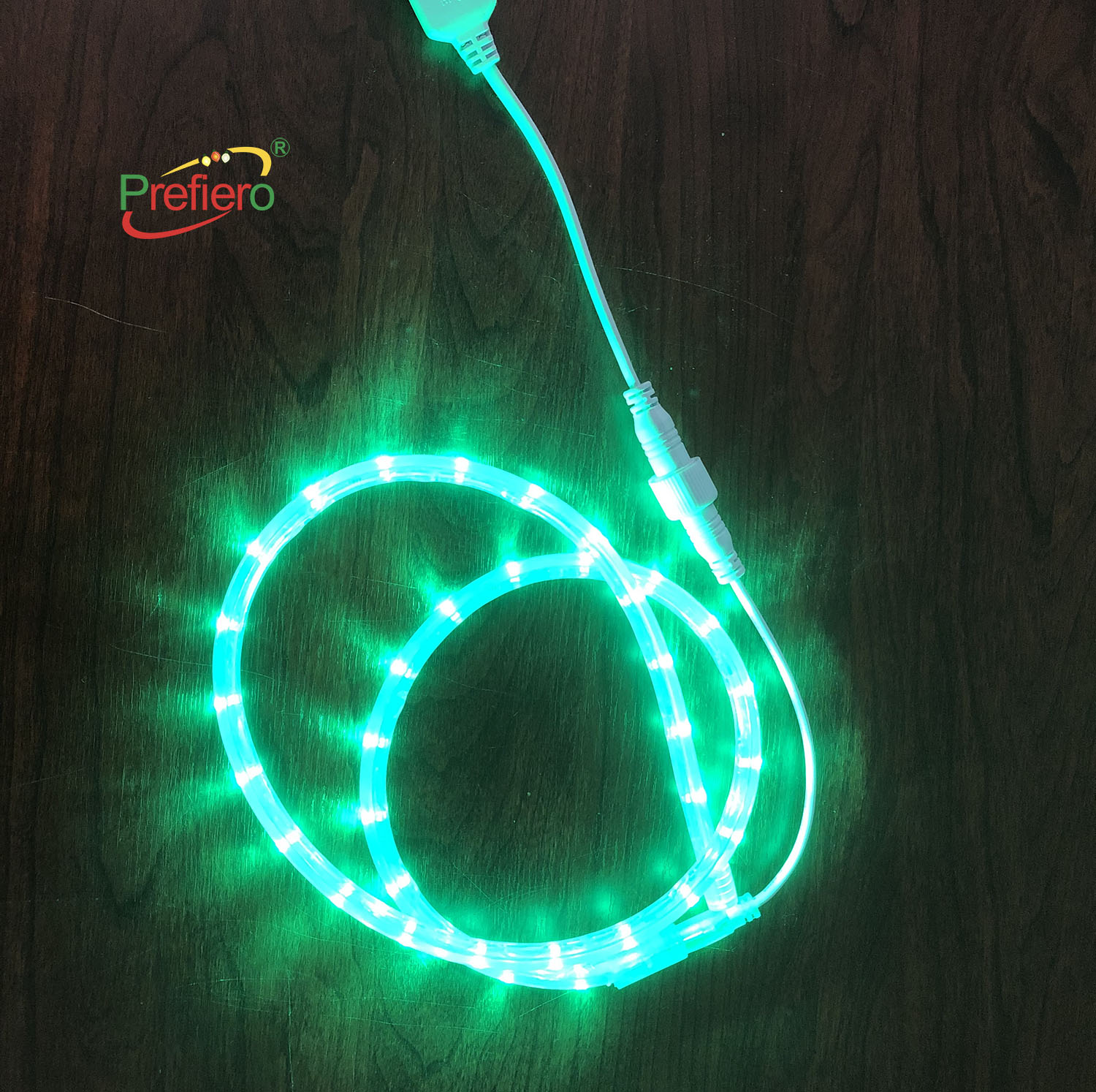 UPGRADED Customized Underwater Hanging IP67 Waterproof PVC LED Rope Lights Christmas Strip Shaped Reindeer Light