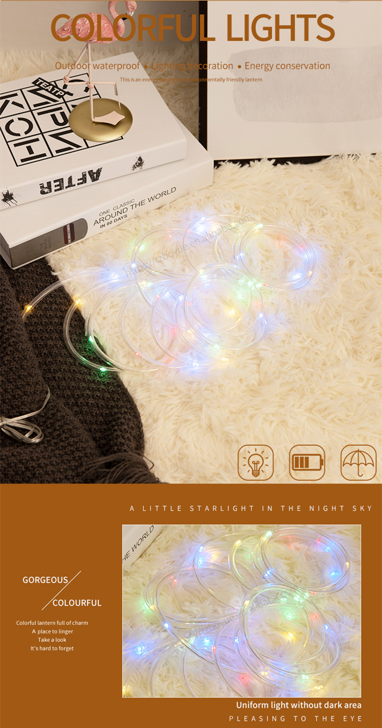 LED Light String Detail 2