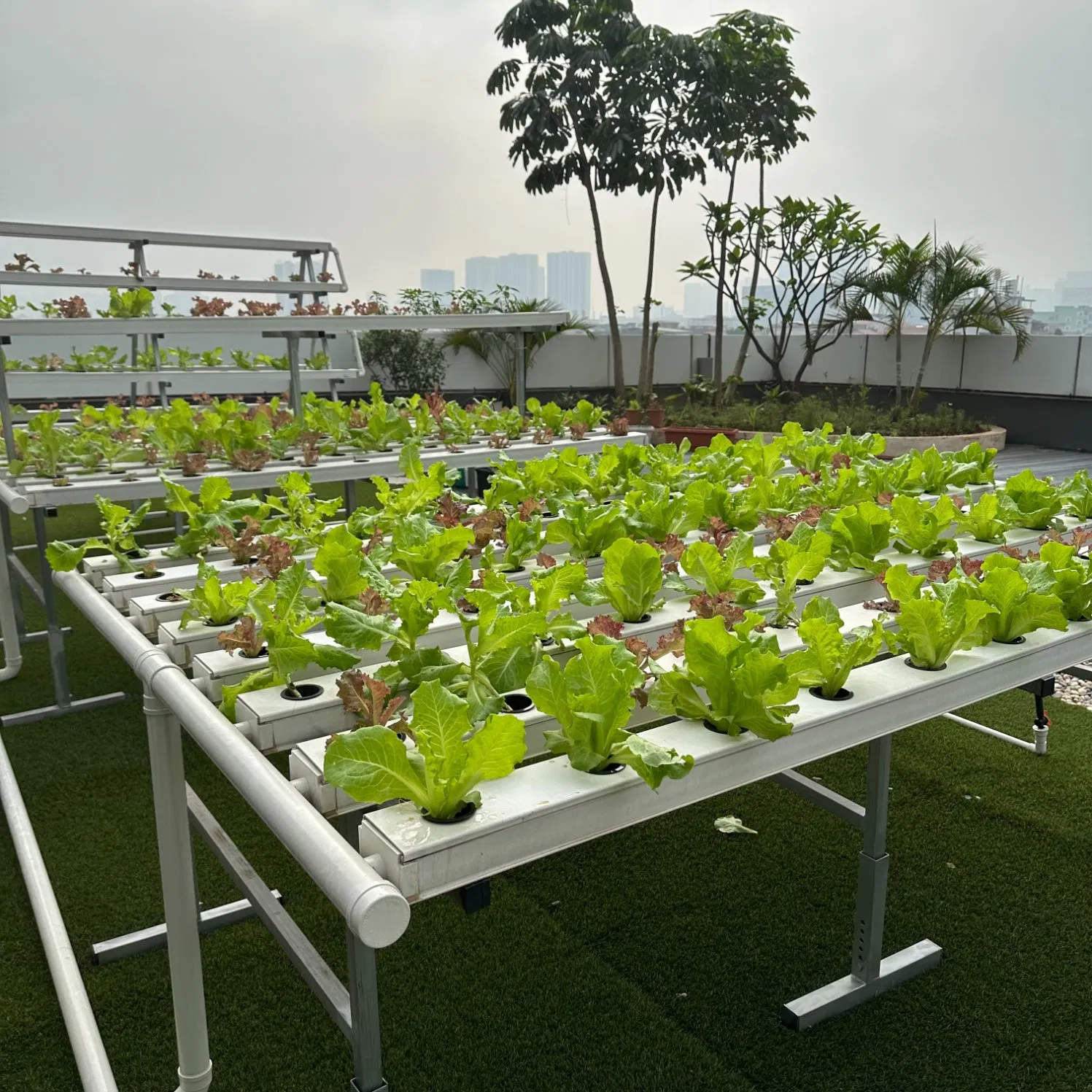 Rolling Glide Rack Nft Vertical Hydroponics System Hydroponics Shelves System