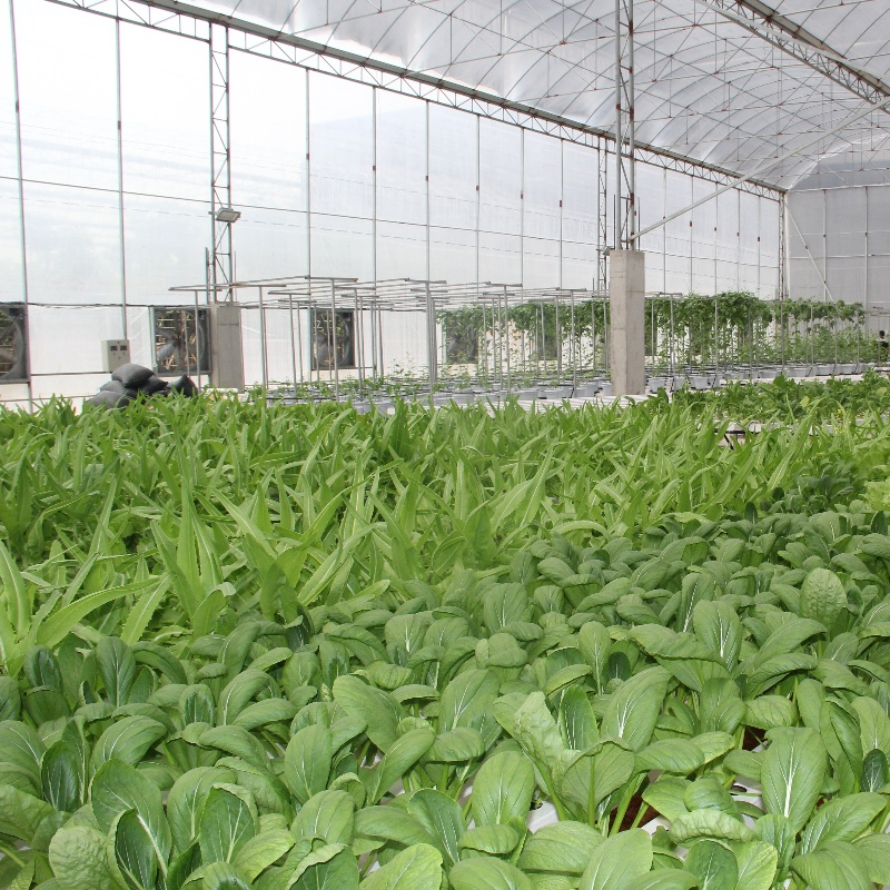 Nft Hydroponic Grow Kit Nft Channels 100X100 Aquaponics Growing Systems