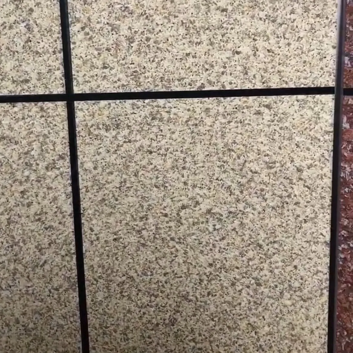 Premium Natural Stone Finish for Stunning Outdoor Walls