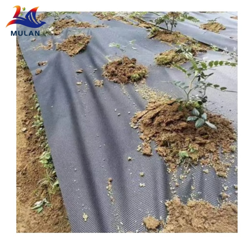 Premium Quality Weed Mat Utilizing Advanced Spunbond Nonwoven Techniques