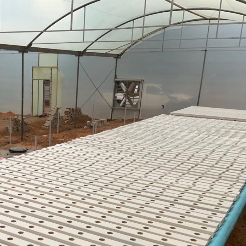 Water Culture Hydroponics Soilless Farming Techniques Hydroponics Greenhouse Kits