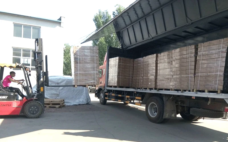 Dishwasher Soap Dispenser