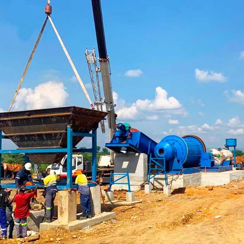 Factory Price for 50tpd-1000tpd Activated Carbon Leaching Cil Gold CIP Processing Plant