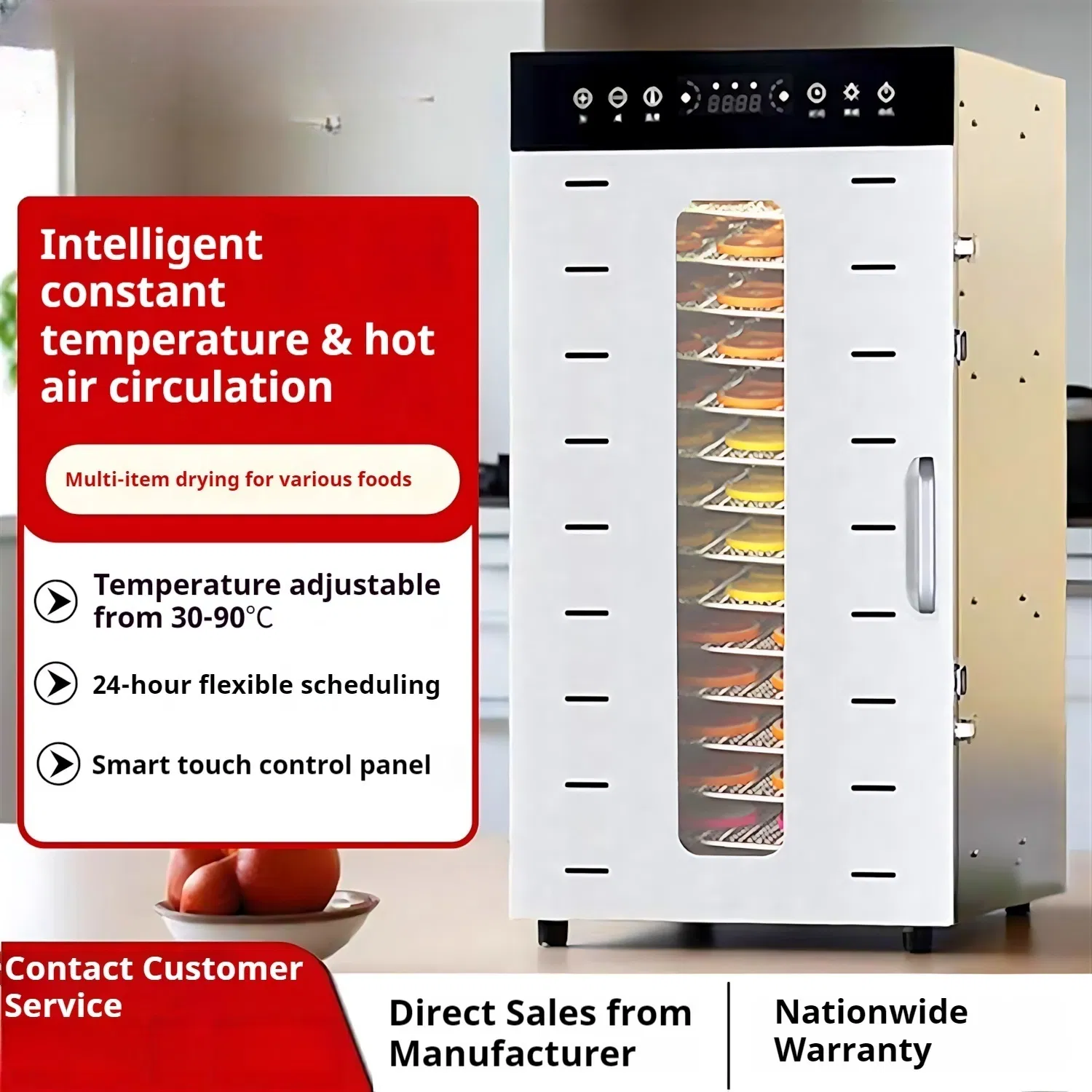 Electric Fruit Dryer Machine Overview