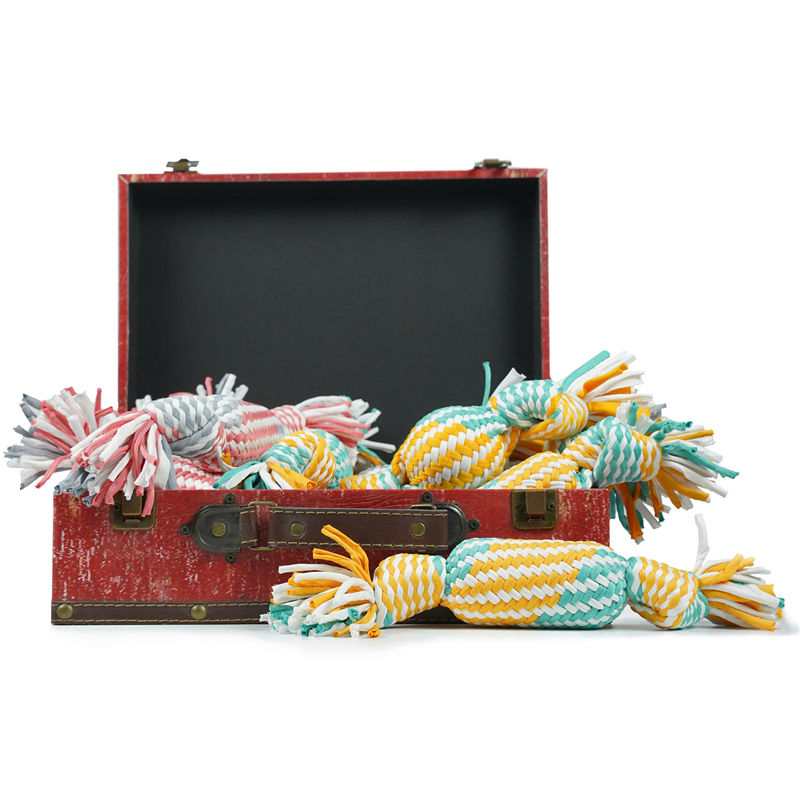 Durable Self-Playing Sound Toy Cleaning Teeth Puppy Teething Dog Chew Toys