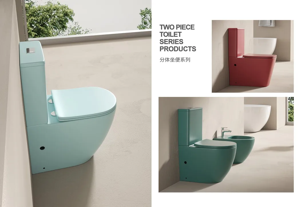 Ceramic Toilet Photo 4