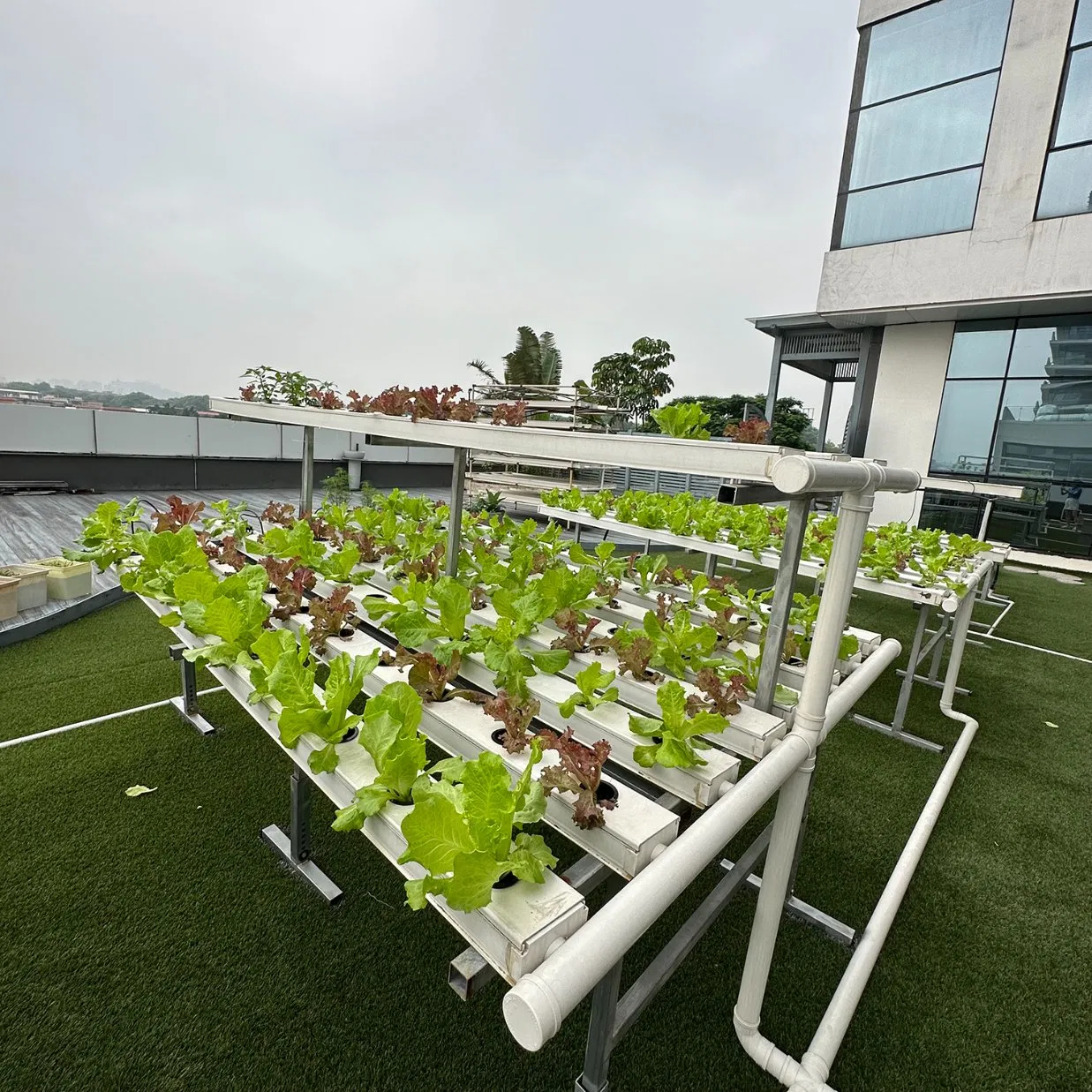 Soilless Farming Techniques Hydroponics Nft System