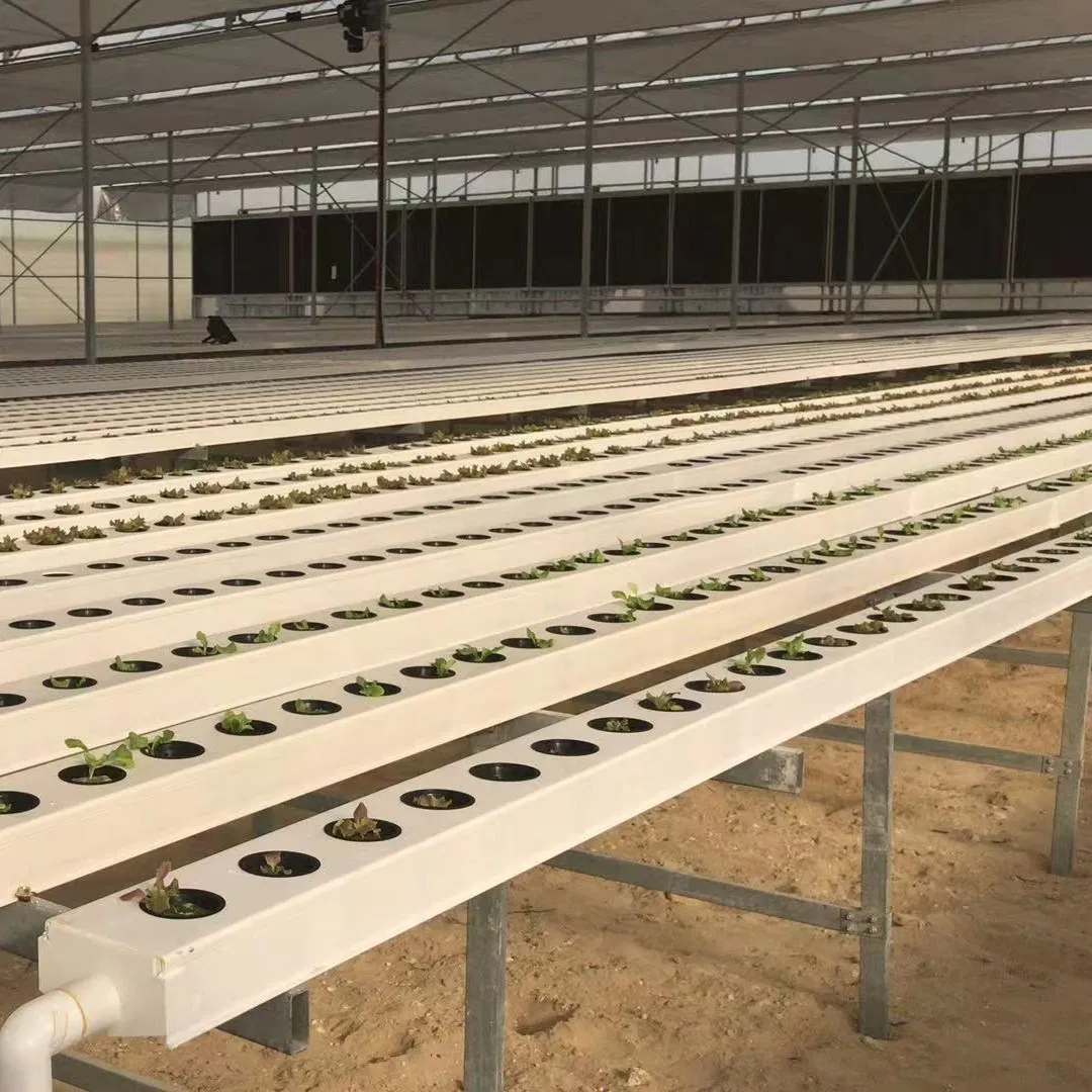 Hydroponic Growing Techniques Hydroponic Fertilizers Reservoir Grow Systems