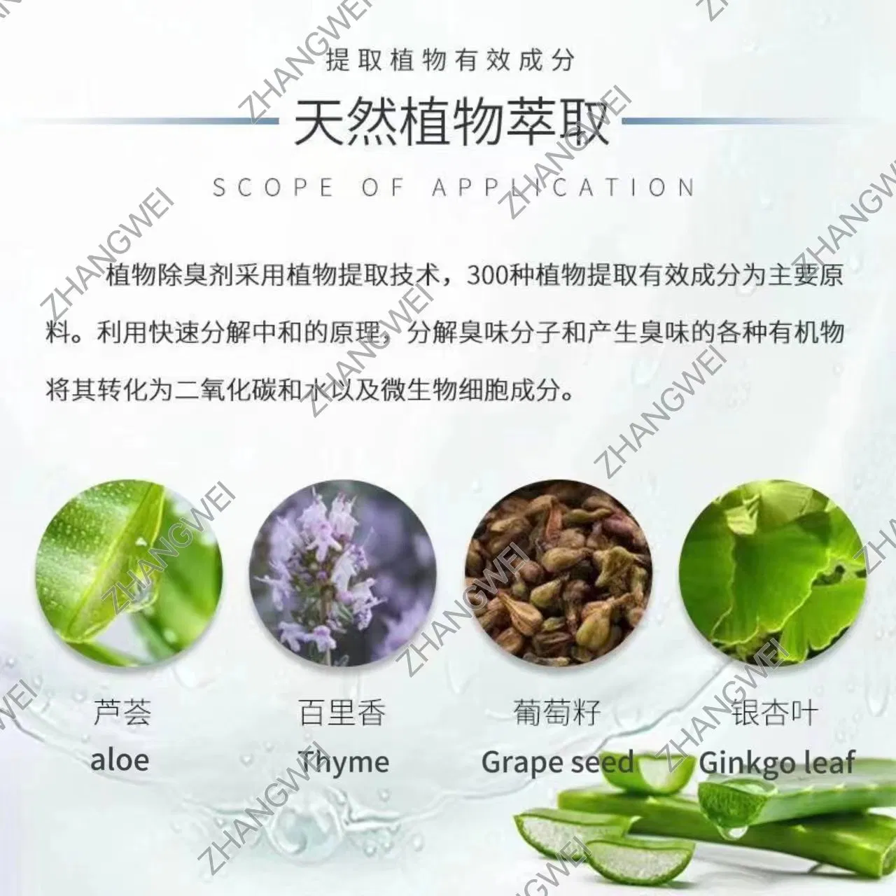 Plant Essential Oil Air Freshener Plant Deodorant Air Purification Liquid Indoor Aromatic Plant Deodorant