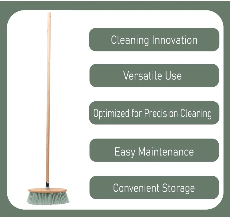 Cleaning Brush Display 2