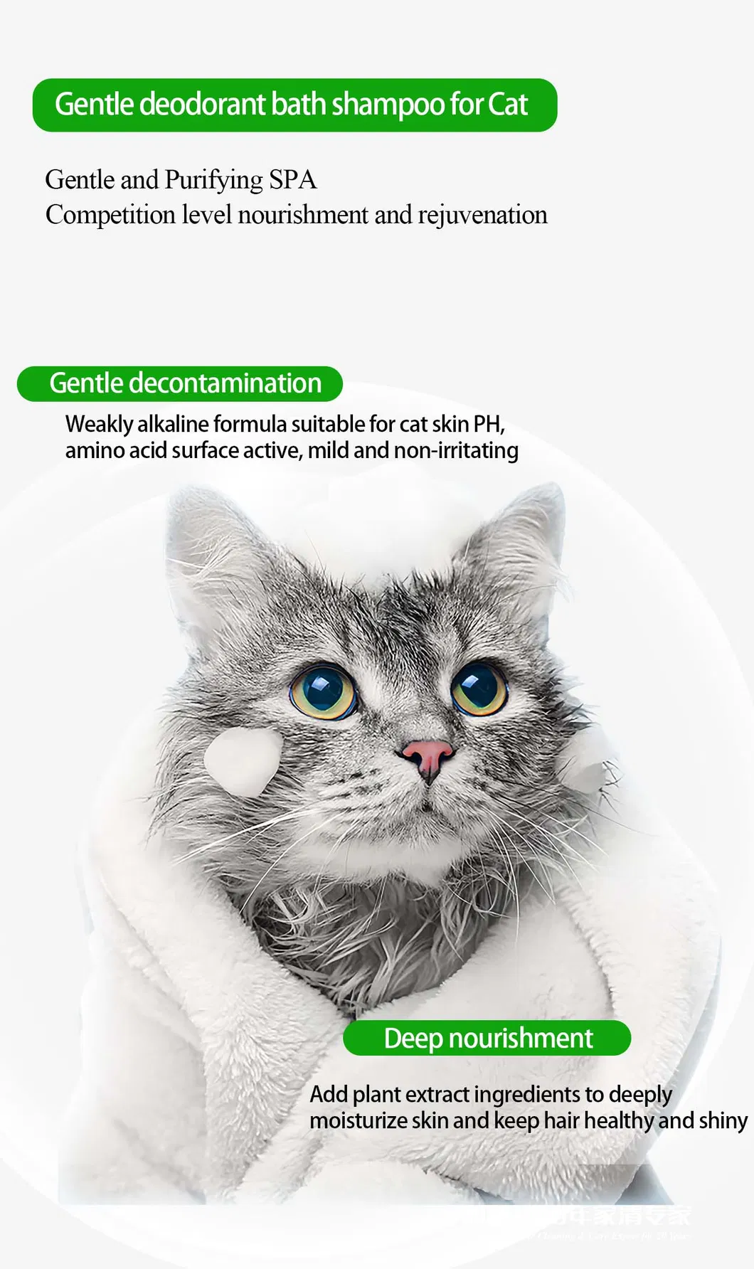 Pet Grooming Solution