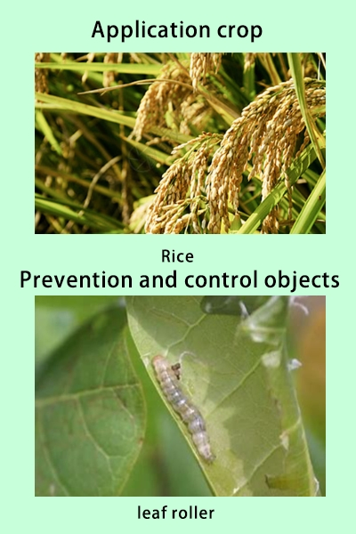 Hot Sales Insecticide Chlorantraniliprole 600g/L Sc Chlorantraniliprole 10% Sc, 20% Wg CAS 500008-45-7 Insect Killer