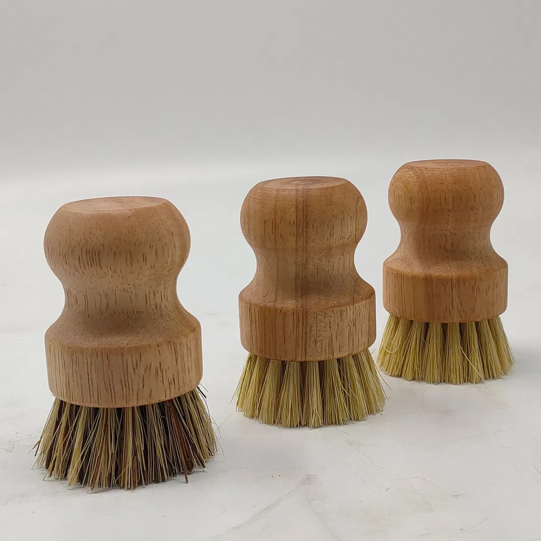 Eco Friendly Scrubber