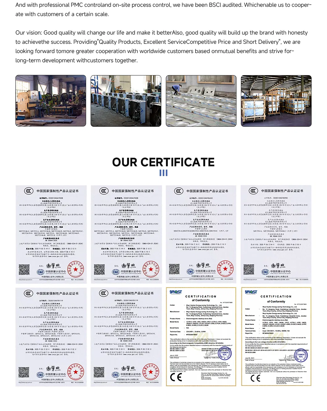 Commercial Gas Stove Detail