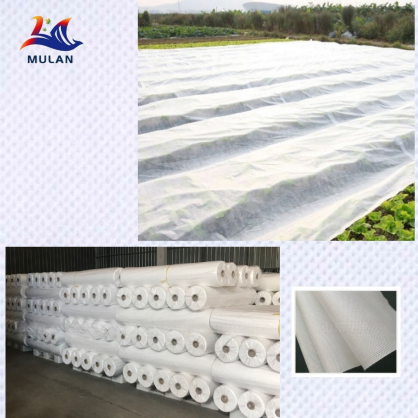 Crop Enhancement Techniques with PP Spunbond Nonwoven Fabric