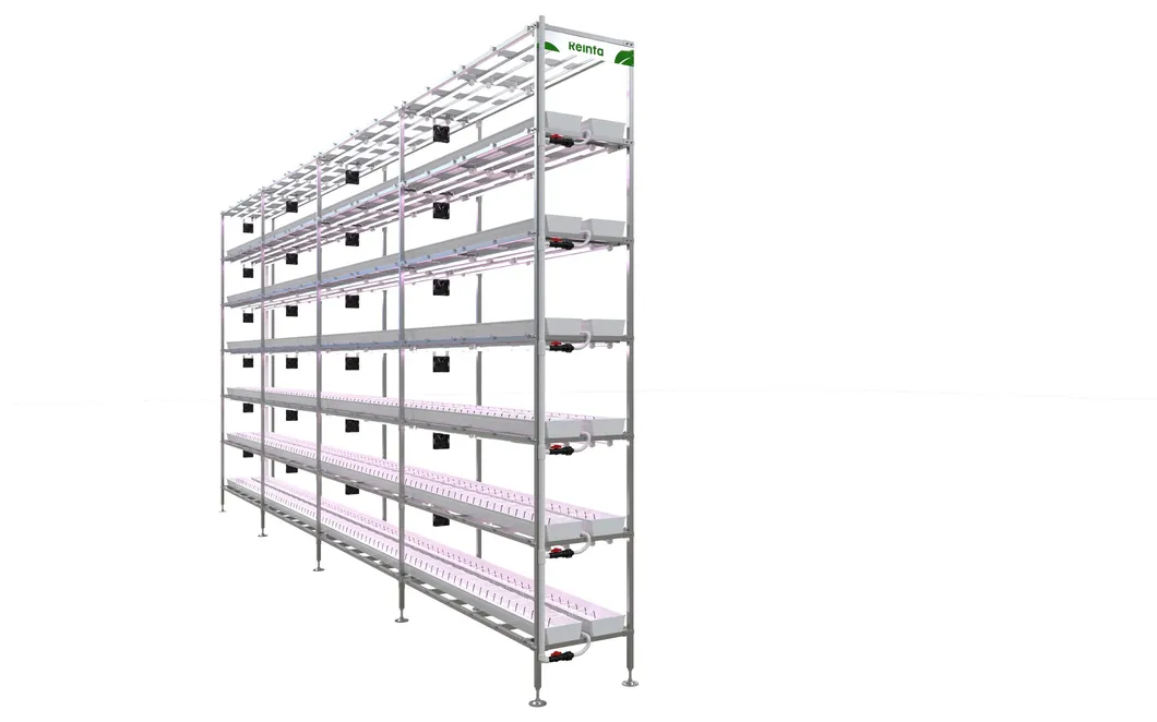 Vertical Strawberry Farm 1