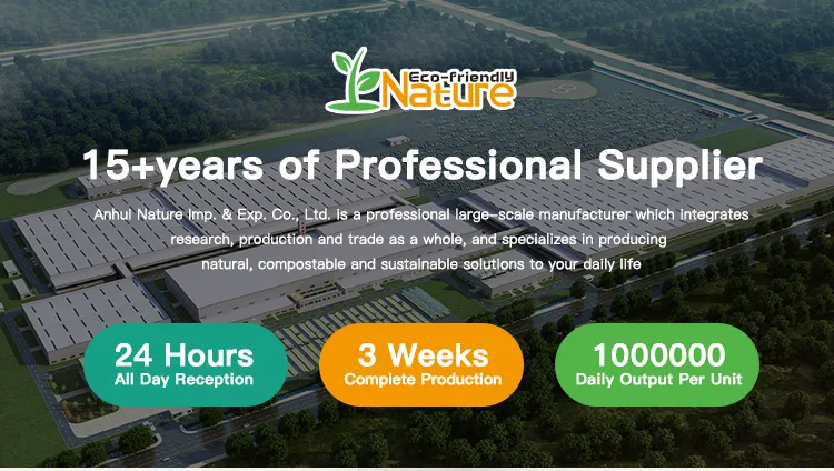 Cotton Swabs Overview