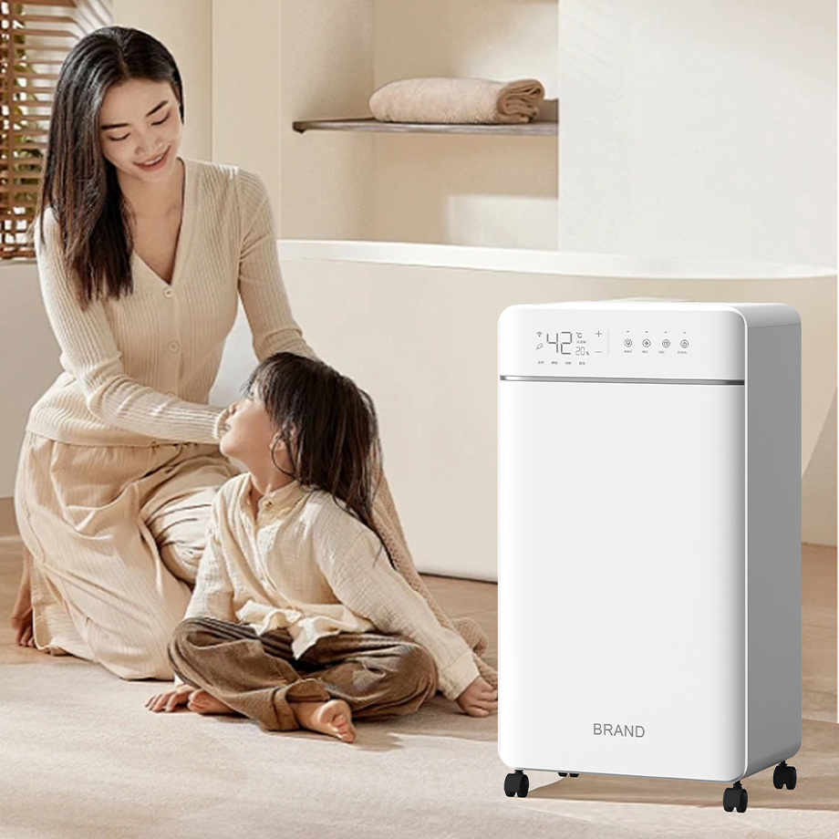 Portable High-Performance Dehumidifier for Indoor Air Quality Improvement