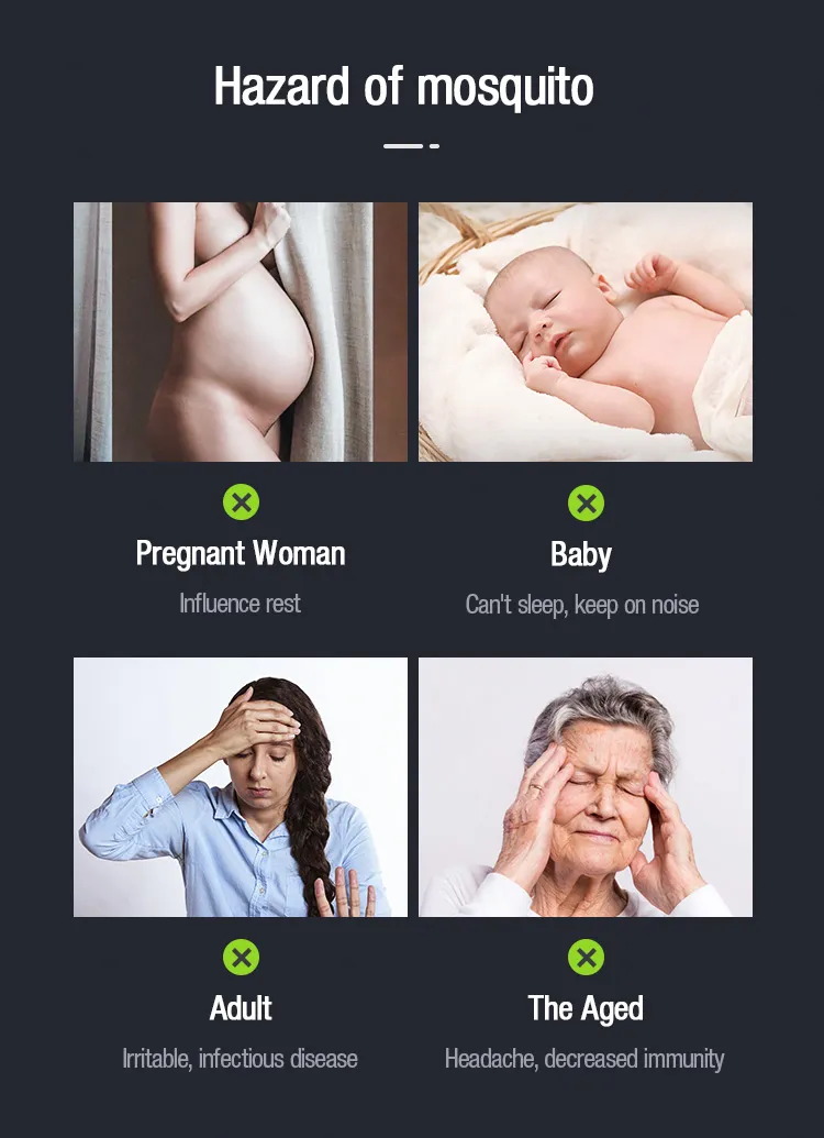 Insect Killer Detail 2