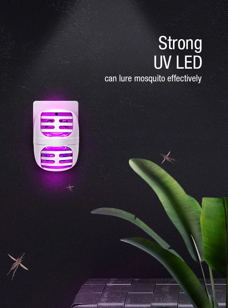 Insect Killer Detail 4