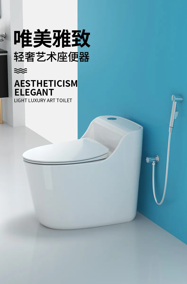 Ceramic Toilet