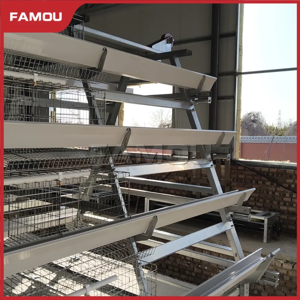 Smart Layer Chicken Cage for Advanced Poultry Farming Techniques