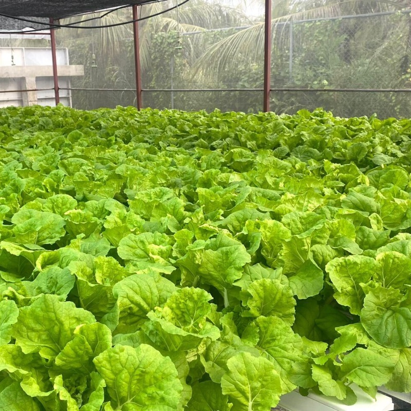 Soilless Farming Techniques 100X50 Channel Square PVC Channel