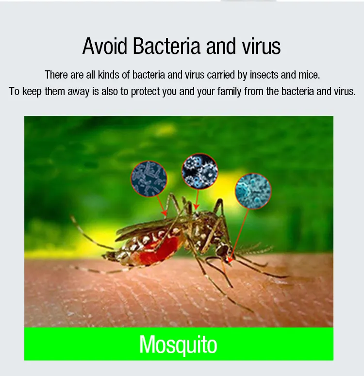 Insect Killer Detail 3