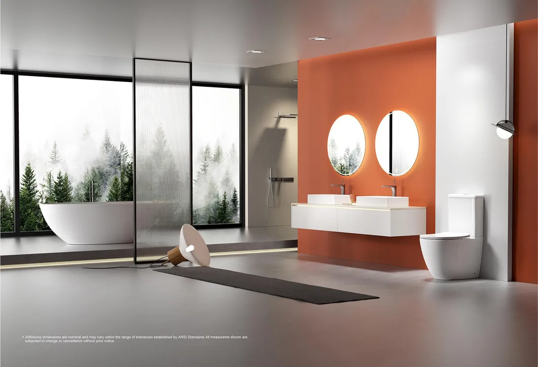 Ceramic Toilet Photo 1