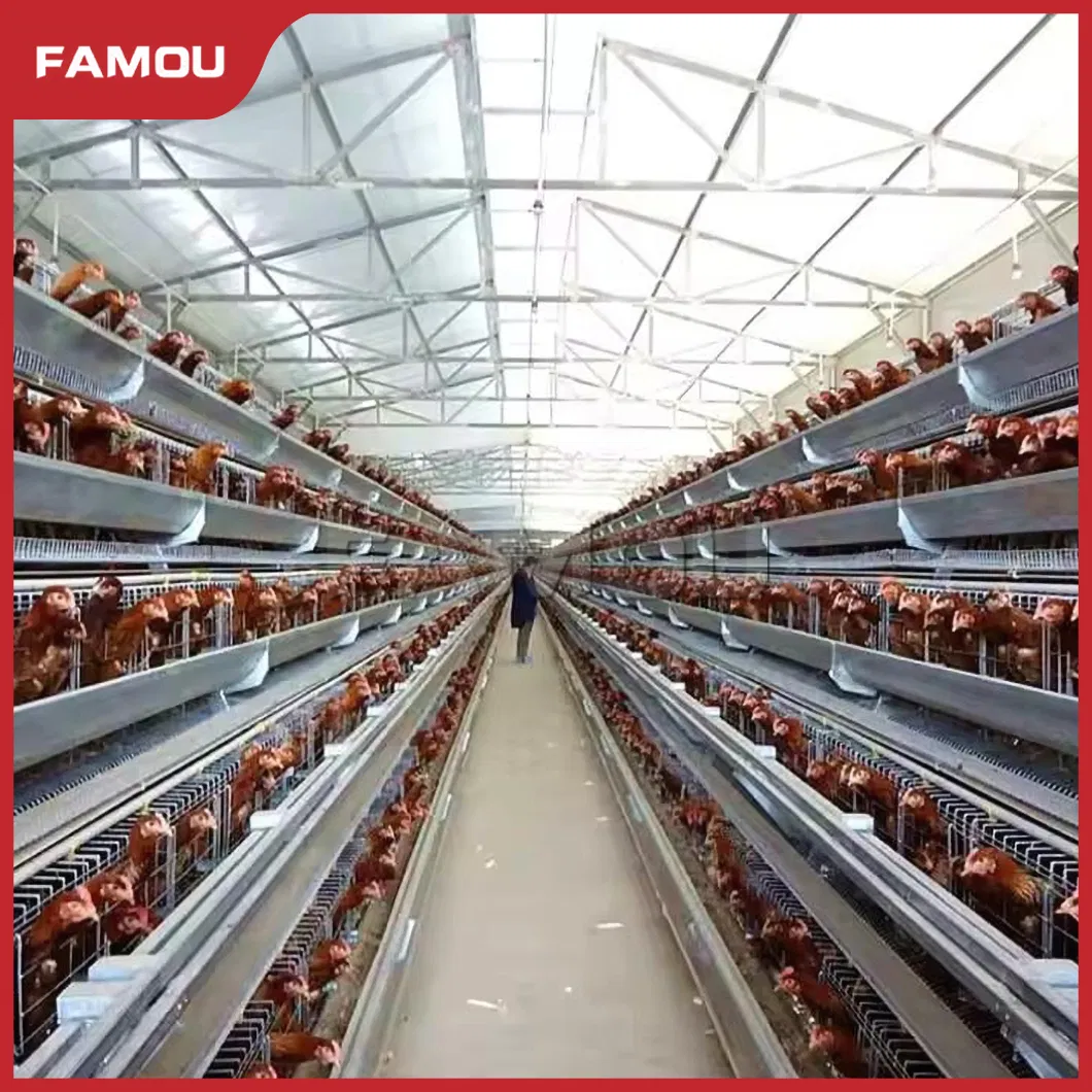 Layer Chicken Cage Tiers