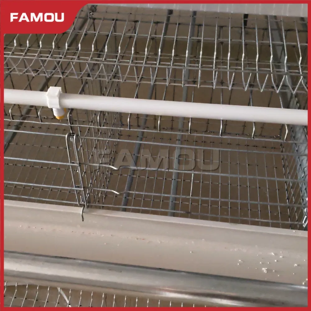 Smart Layer Chicken Cage for Advanced Poultry Farming Techniques