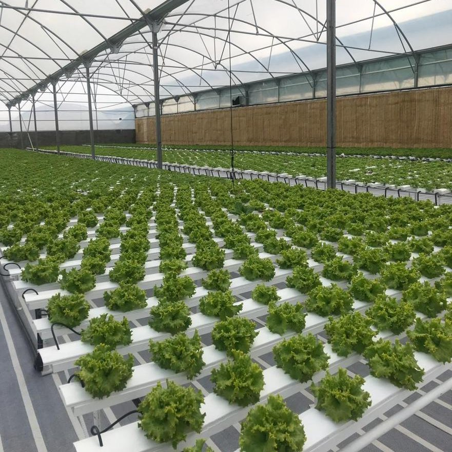 Hydroponic Growing Techniques Hydroponic Fertilizers Reservoir Grow Systems