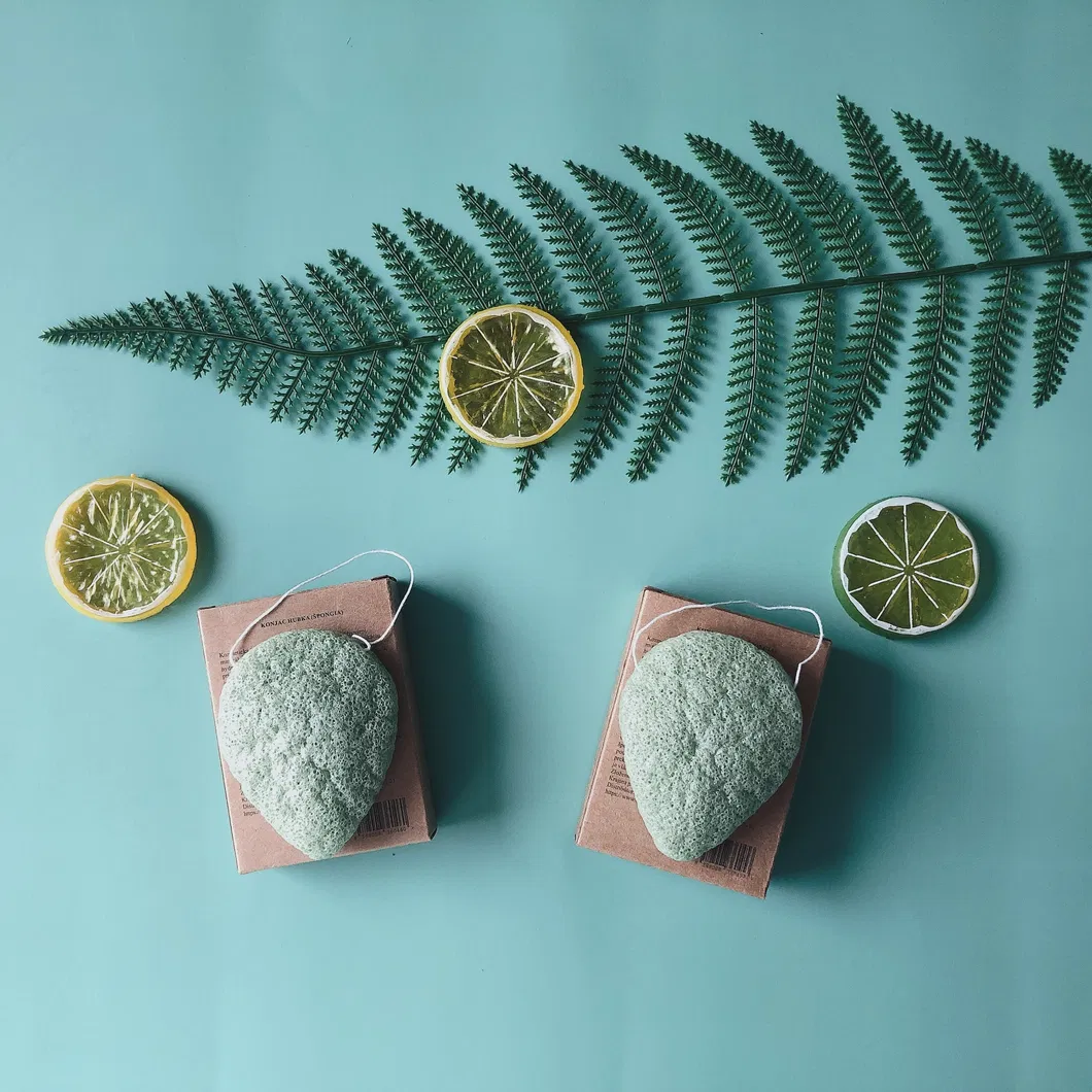 Konjac Sponge Texture