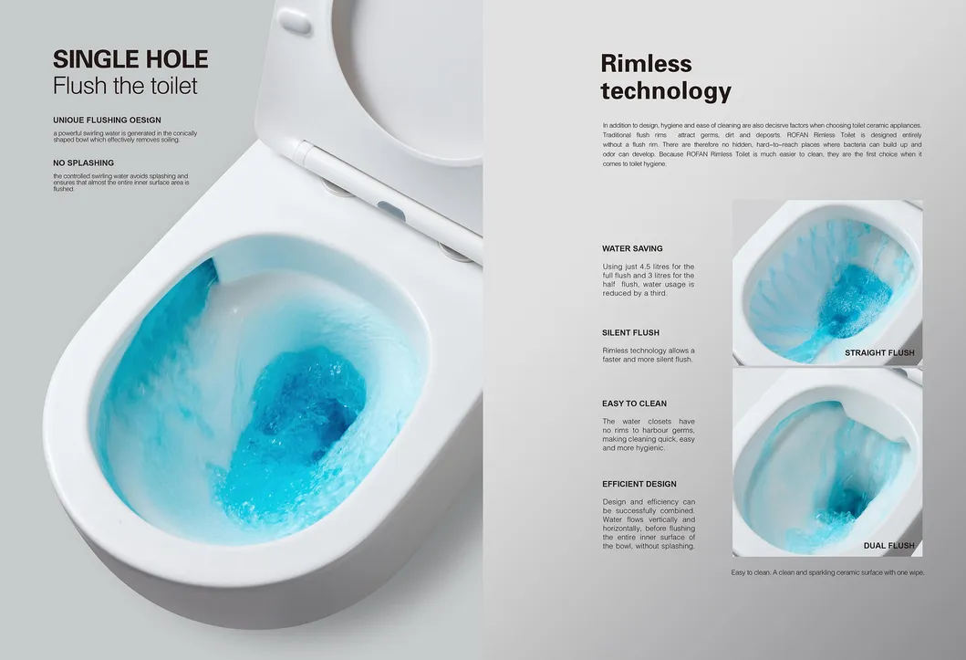 Ceramic Toilet Photo 2