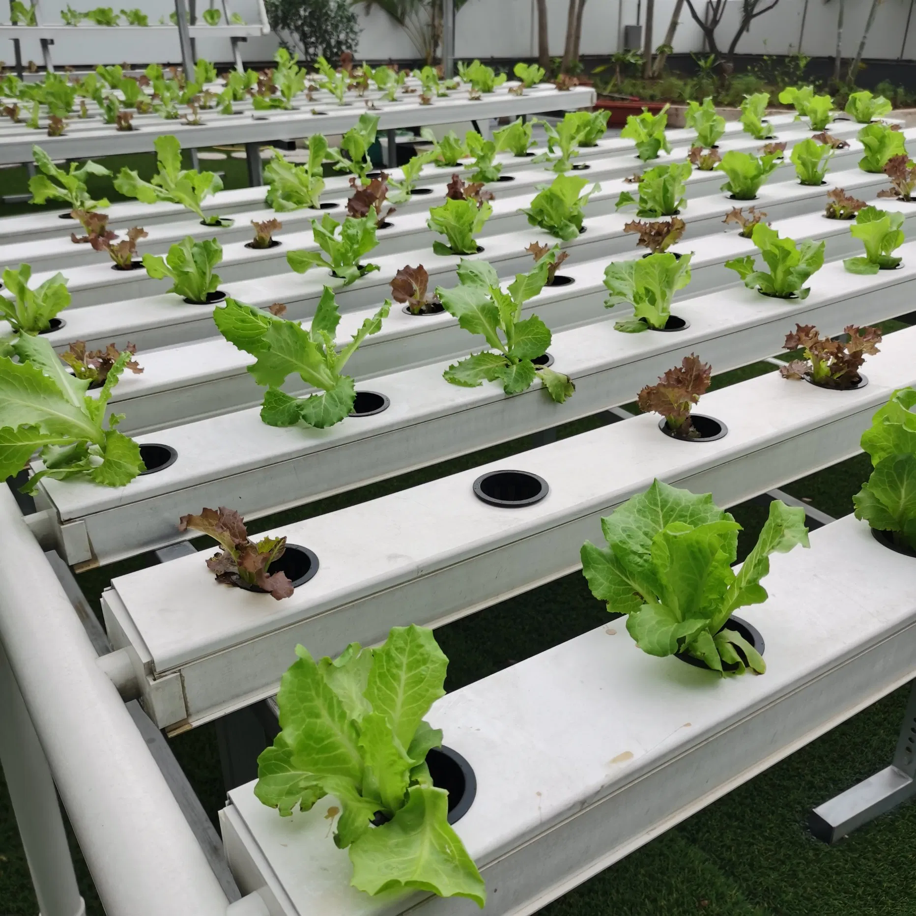 Soilless Farming Techniques Hydroponics Nft System
