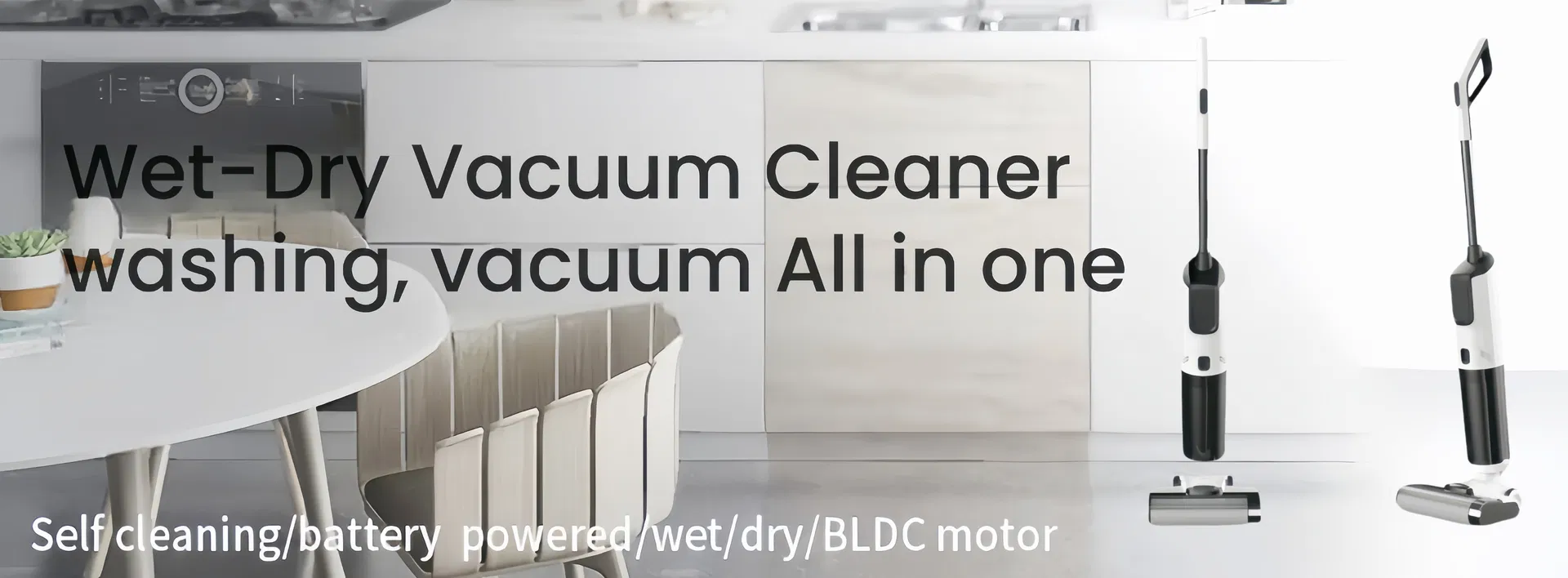 Professional Wet Dry Vacuum Cleaner